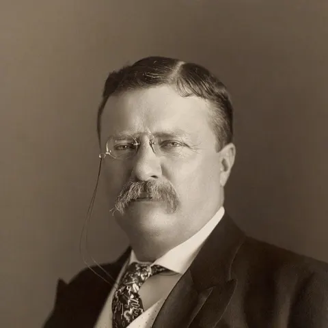Portrait of Theodore Roosevelt